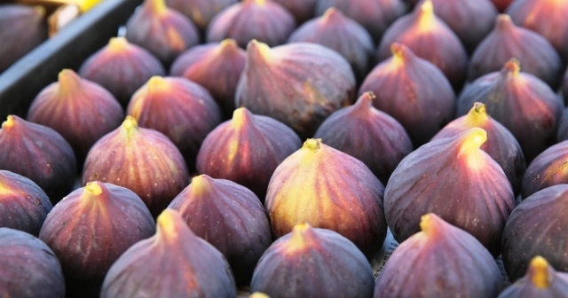 Hong Kong fuarında Türk Kiraz ve İncirine büyük ilgi. Hong Kong fuarında Türk Kiraz ve İncirine büyük ilgi.