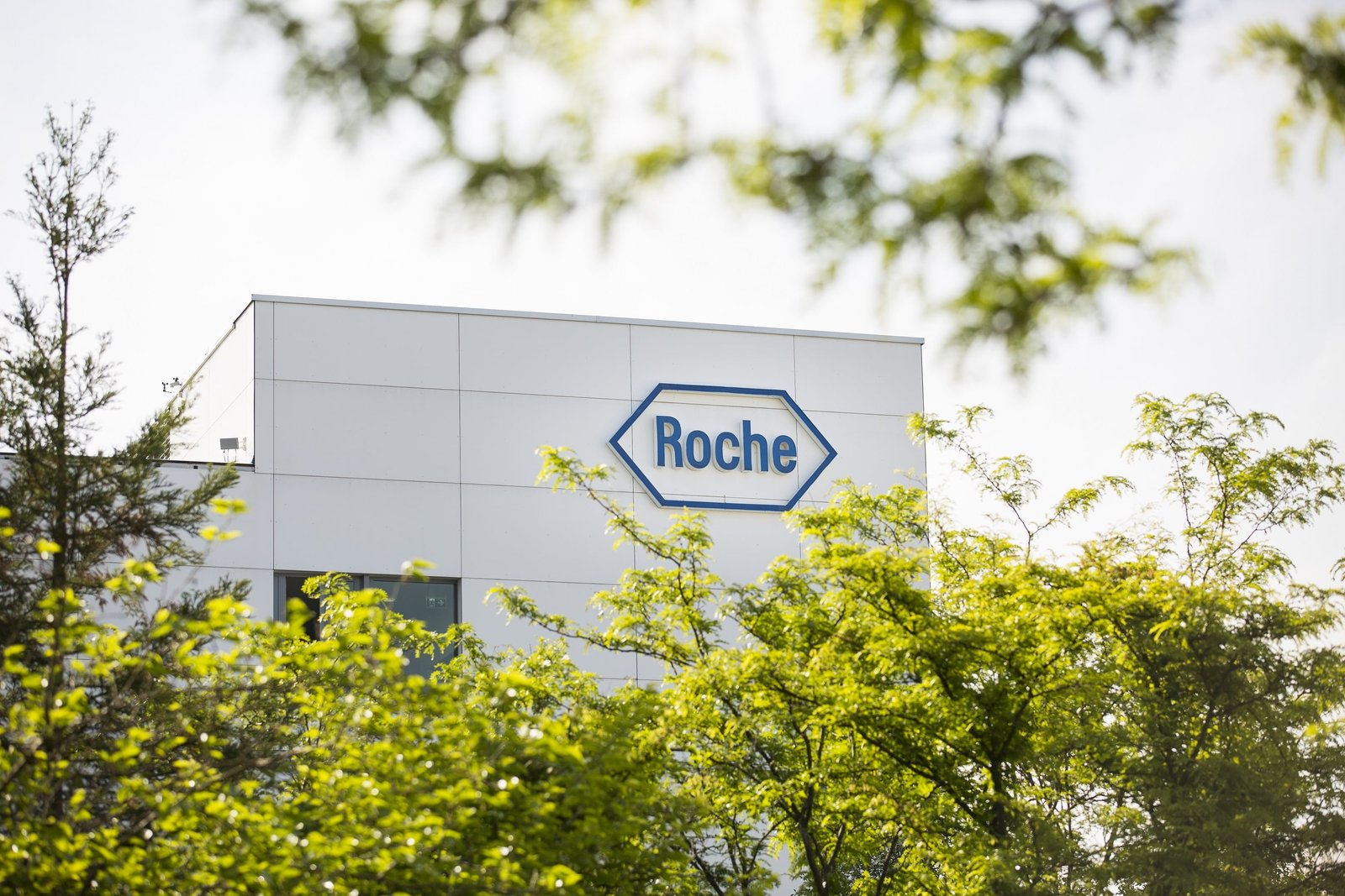 Roche holding