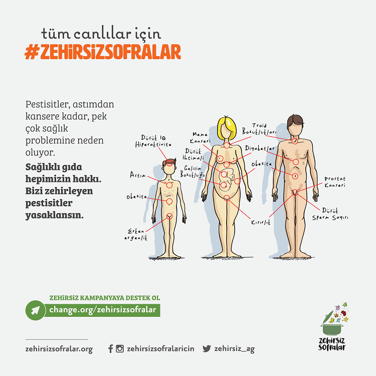Türkiye’nin Pestisit Gerçeği. Türkiye’nin Pestisit Gerçeği.