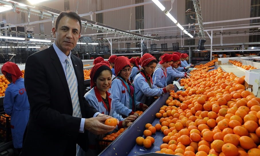 Akdeniz'den ihracat 13.5 milyar dolara ulaştı. Akdeniz'den ihracat 13.5 milyar dolara ulaştı.