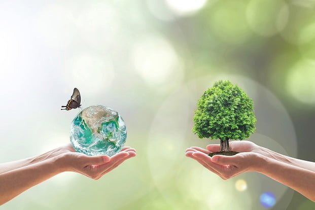 CHEP 2019 yılı sürdürülebilirlik rakamlarını açıkladı.