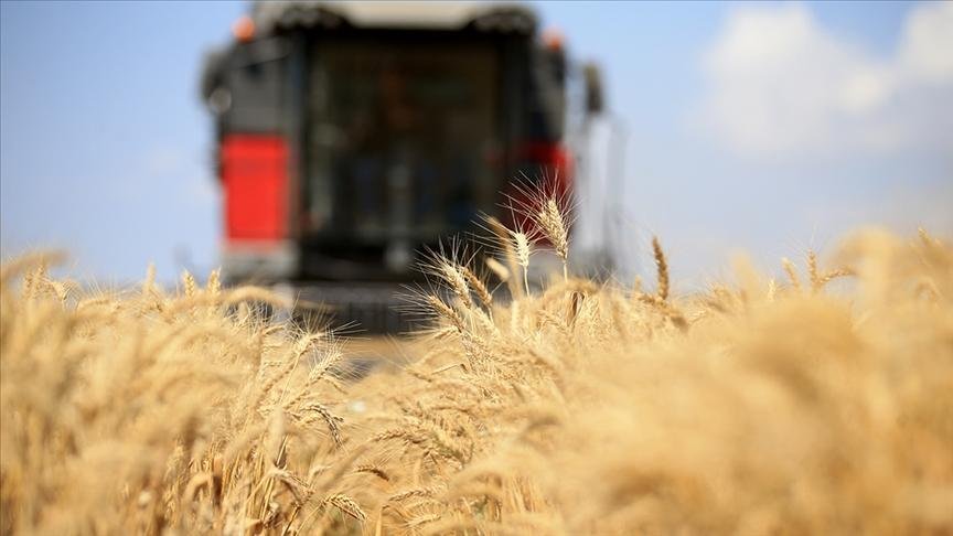 Gıda fiyatları temmuzda ilk kez geriledi