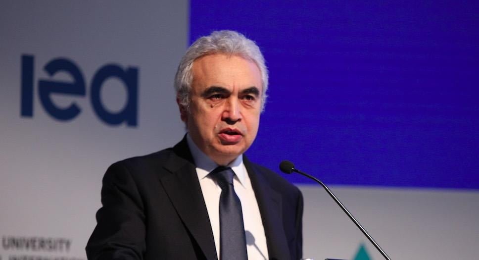 Fatih Birol: Türkiye, yenilenebilir enerjide dünyada ilk 10’a girecek