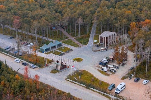 Trakya’nın saklı cenneti: İğneada Longoz Ormanları